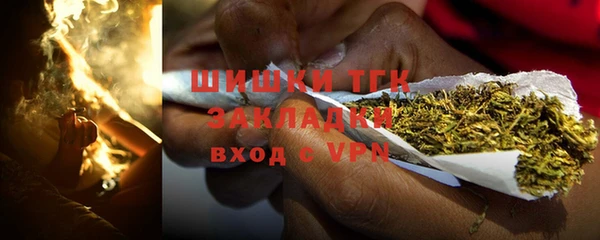 твердый Арсеньев