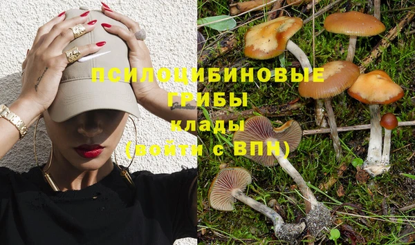 твердый Арсеньев