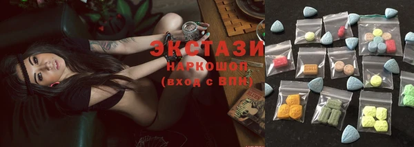 твердый Арсеньев