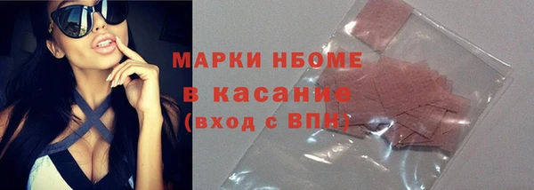 твердый Арсеньев