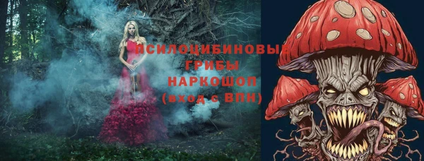 молекула духа Аркадак