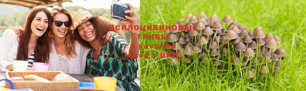 кокаин Губаха
