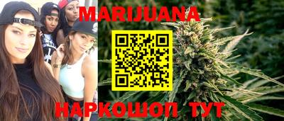 сатива Аргун