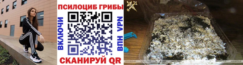 Псилоцибиновые грибы мухоморы Белогорск
